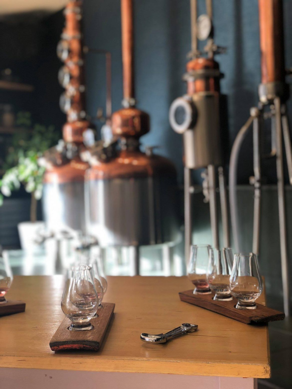 stills-and-taste-glasses.jpg