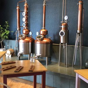 South Loch Gin Distillery Tasting Experience - Digital gift code